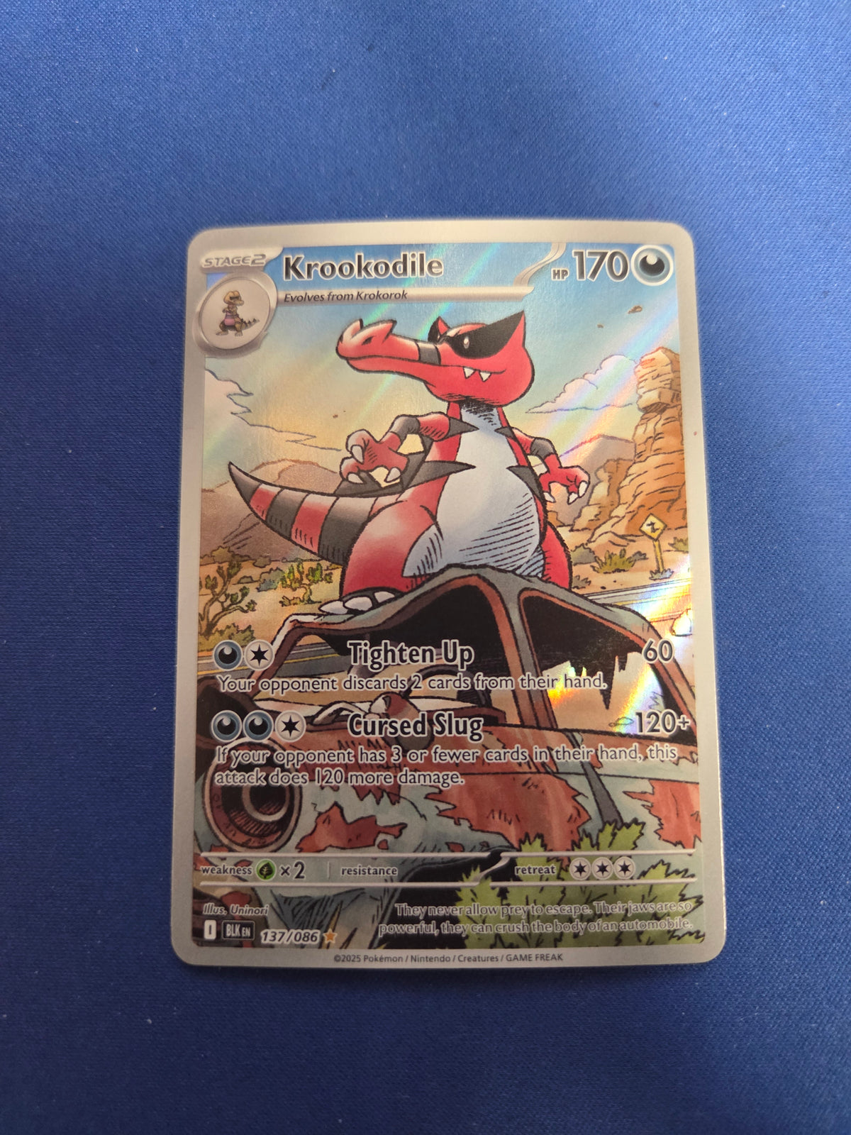 Krookodile - 137/086 (137) Illustration Rare Holofoil (Cabinet-NM)