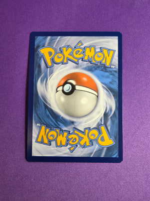 Charizard V (SWSH260)/307 Promo Holofoil (Cabinet-NM)