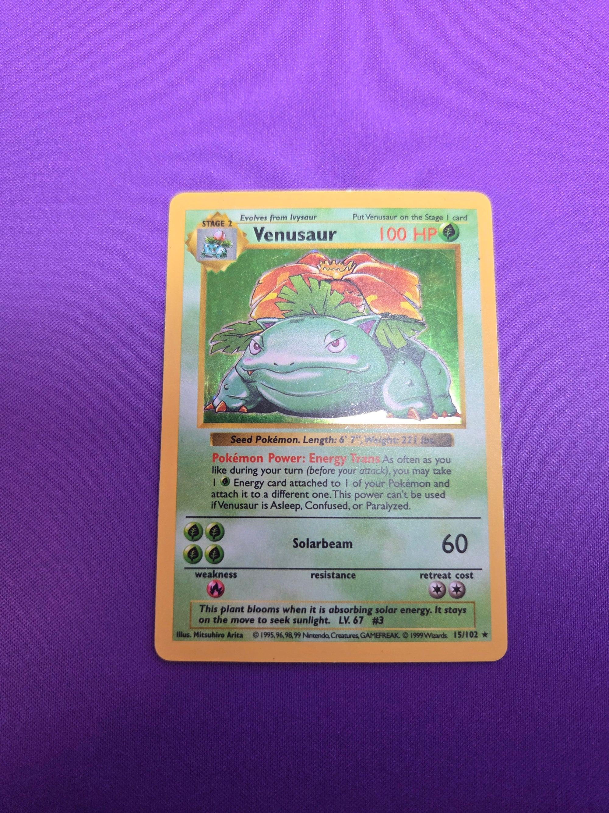 Moderetly Played - Venusaur (15) shadowless (Cabinet-MP)