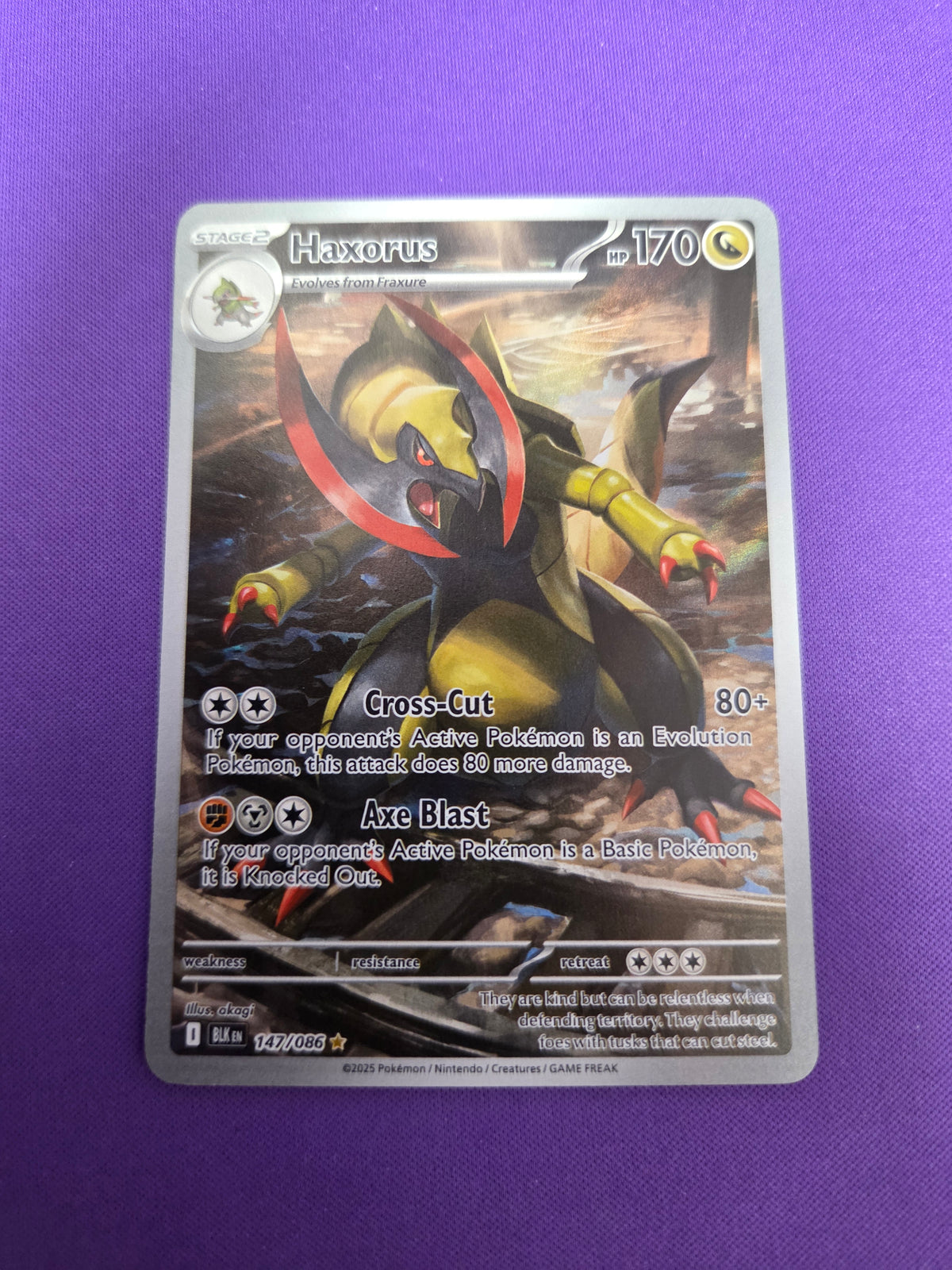 Haxorus - 147/086 (147) Illustration Rare Holofoil (Cabinet-NM)