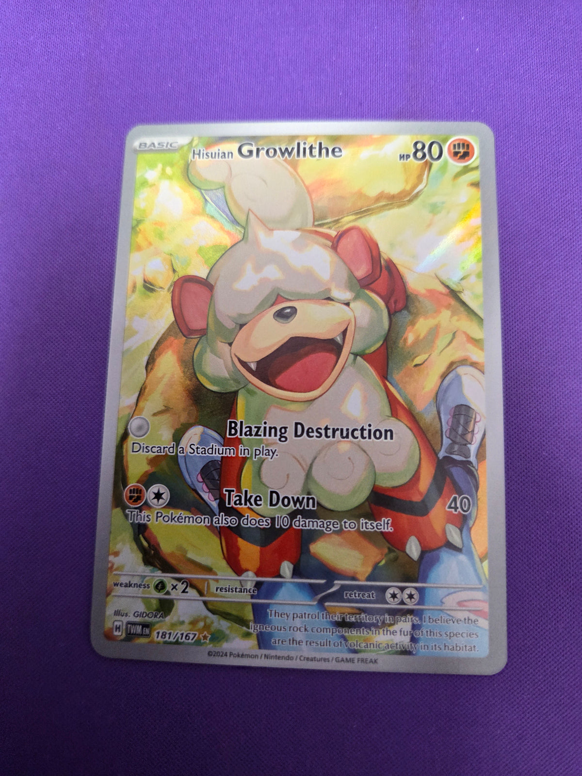 Hisuian Growlithe - 181/167 (181) Illustration Rare Holofoil (Cabinet-NM)