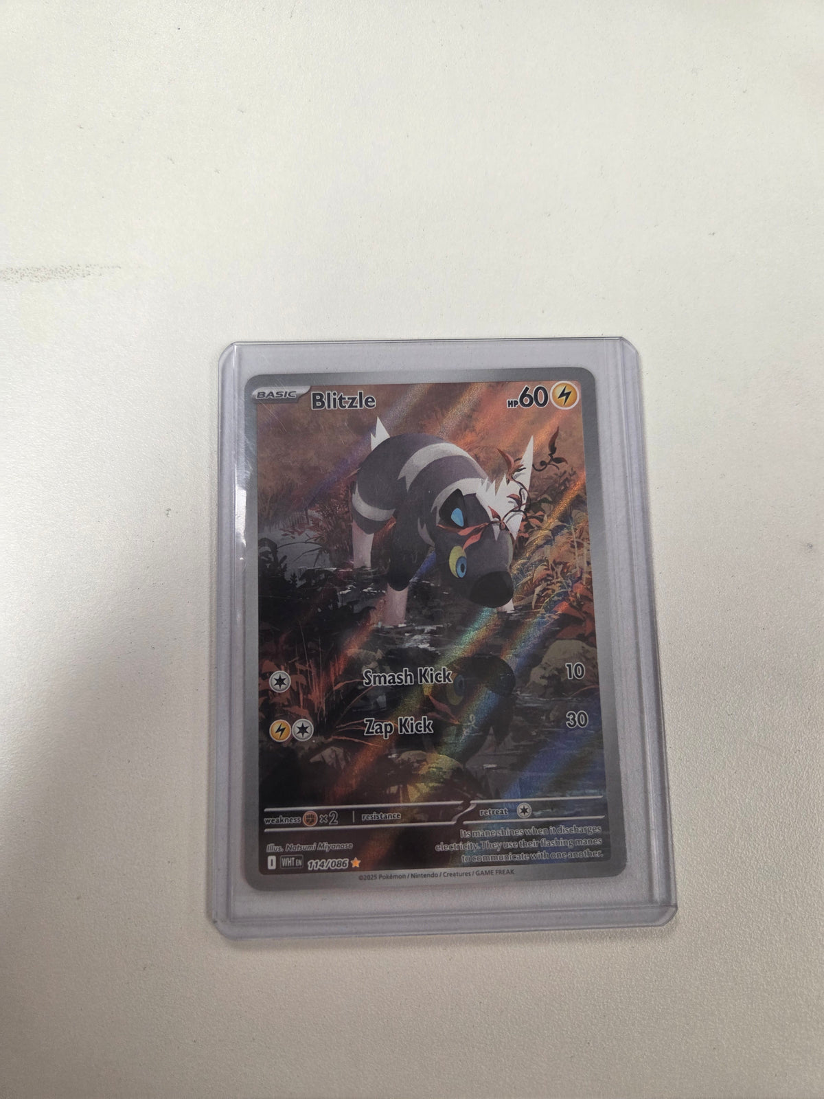 Blitzle - 114/086 (114) Illustration Rare Holofoil