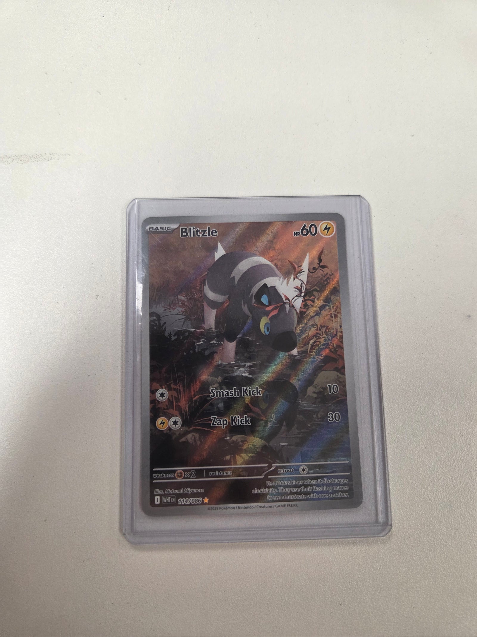 Blitzle - 114/086 (114) Illustration Rare Holofoil