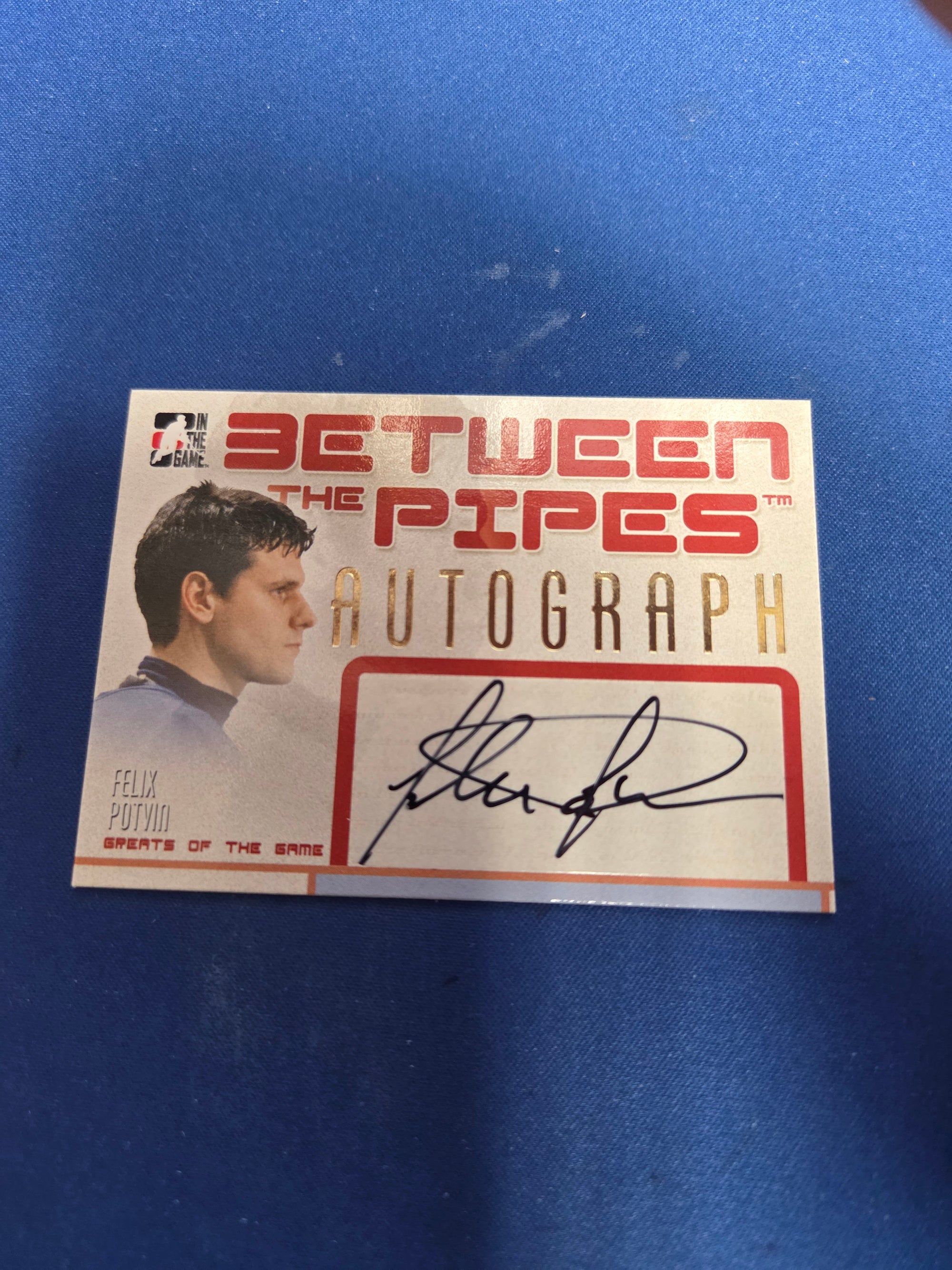 Felix Potvin Between the Pipes Autograph A-FP (cabinet-NM)