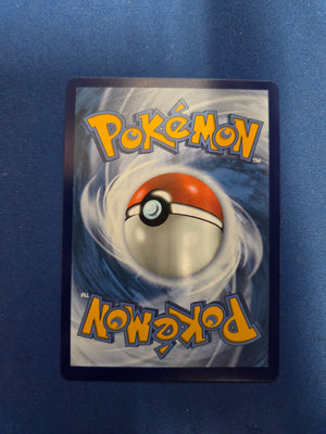 Mega Greninja ex - 116/086 Special Illustration Rare Holofoil (Cabinet-NM)