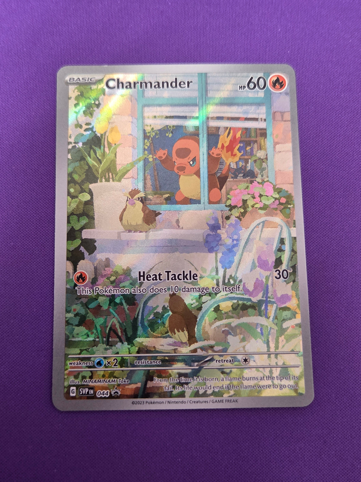 Charmander - 044 (44) Promo Holofoil (Cabinet-NM)