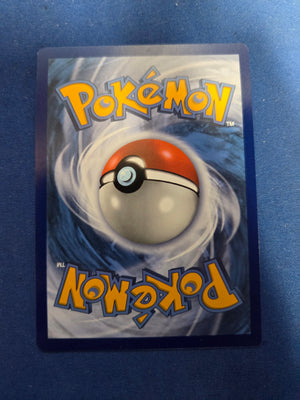 Eevee & Snorlax GX - SM169 (SM169)/248 Promo Holofoil (Cabinet-NM)