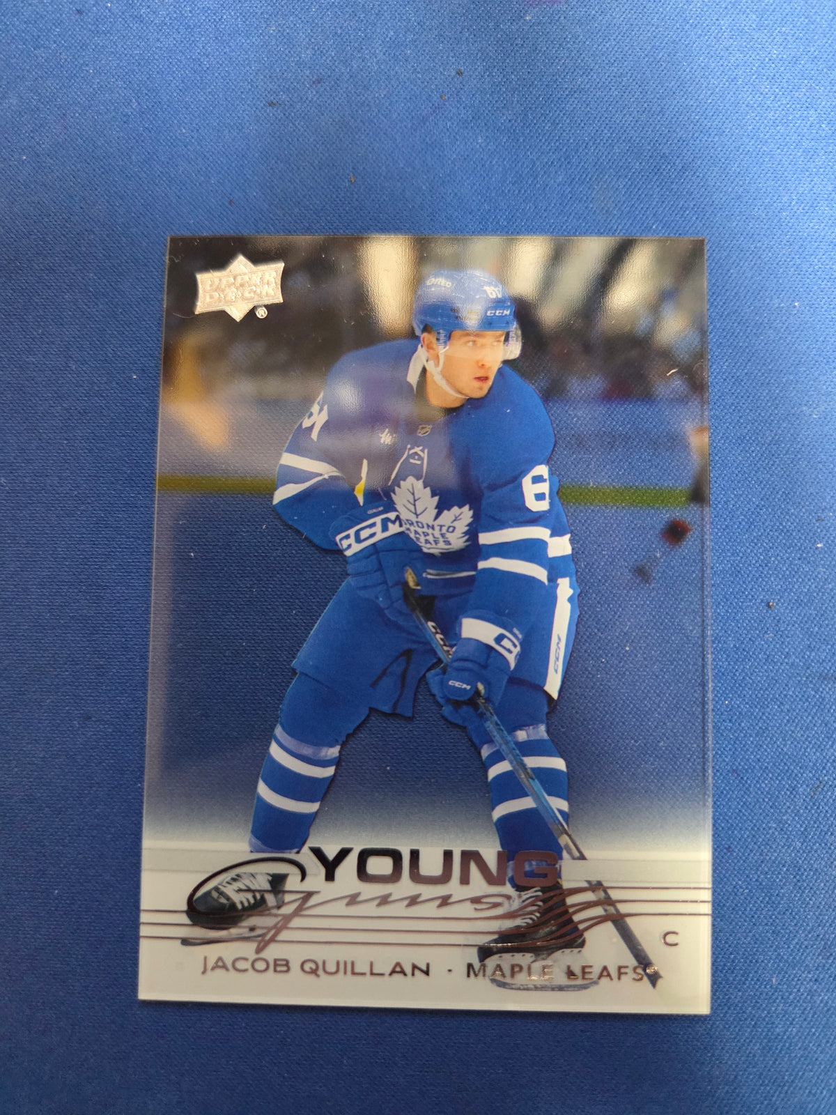 Jacob Quillan Young Guns Clear Cut #241 (Cabinet-NM)