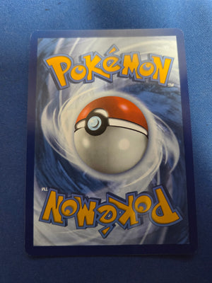 Charizard ex #234 Paldean Fates SIR (Cabinet-NM)