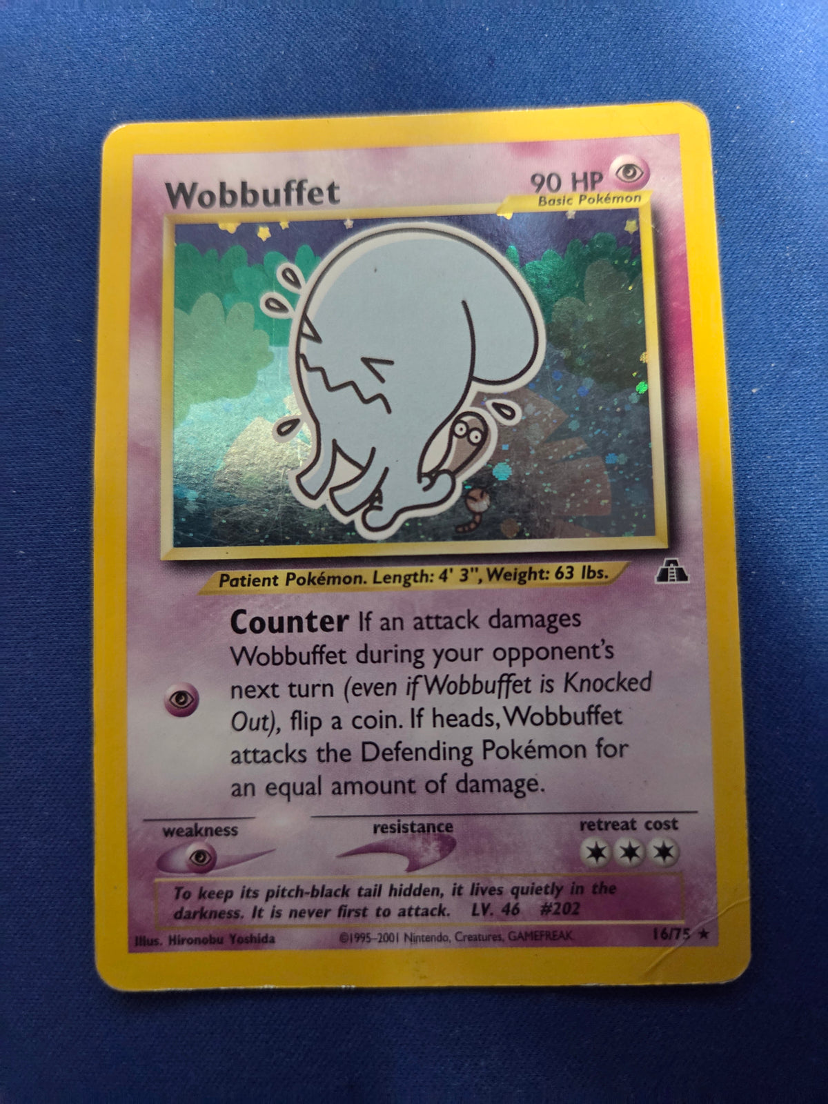 Heavily Played Wobbuffet (16) (16)/75 Holo Rare Unlimited Holofoil (Cabinet-HP)