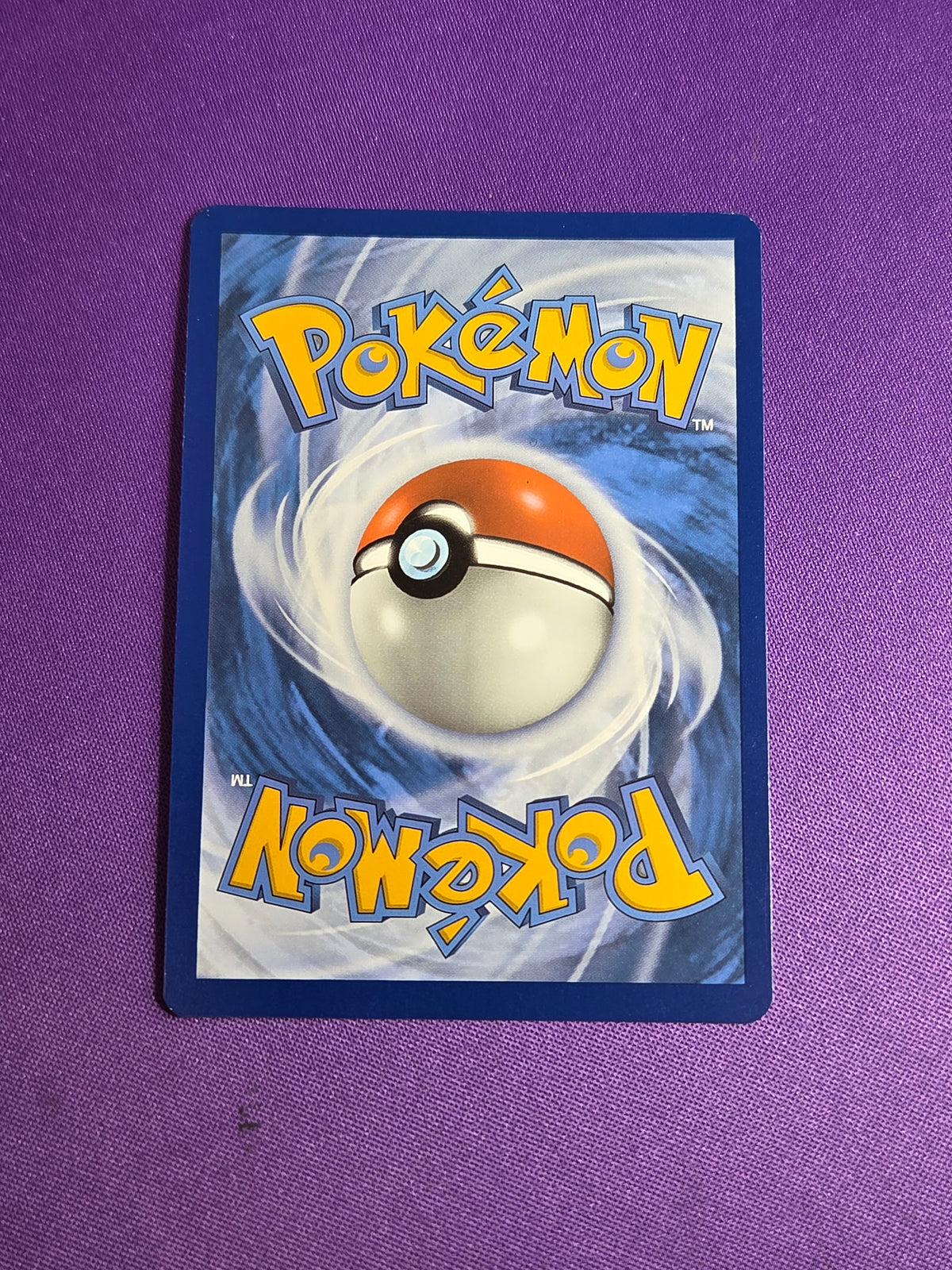 Litten - 167/162 Illustration Rare Holofoil (Cabinet-NM)