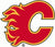 20/21 Parkhurst NHL Team Set Flames