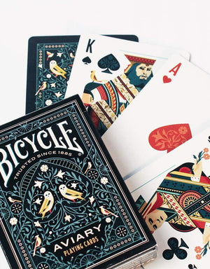 Bicycle- Aviary