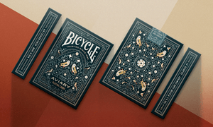 Bicycle- Aviary