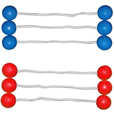 Ladderball Pro Steel