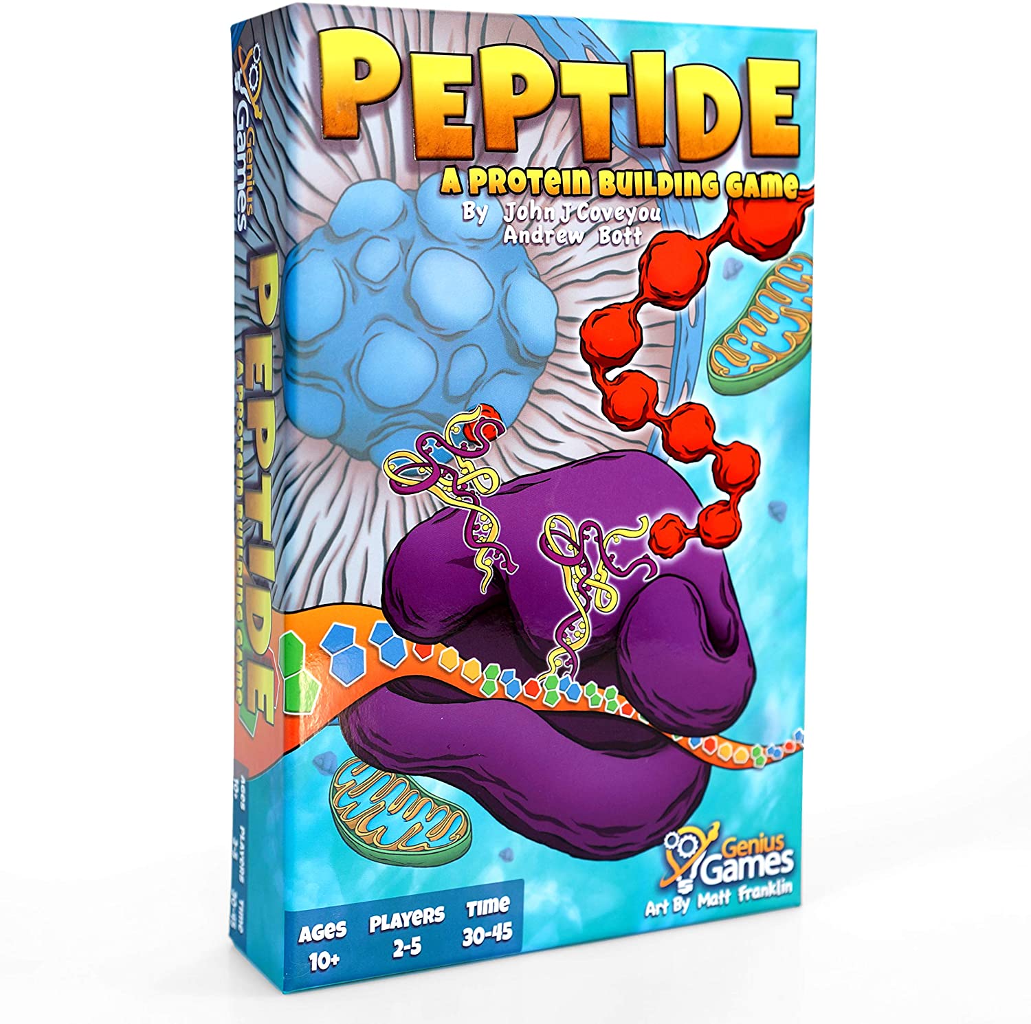 Peptide